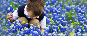 Details Page-EcoShare-Banner