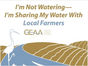 "I'm Not Watering!" Yard Signs
