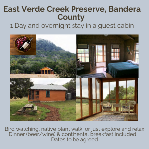Guest Cabin Bandera image