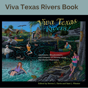 viva texas rivers book auction image