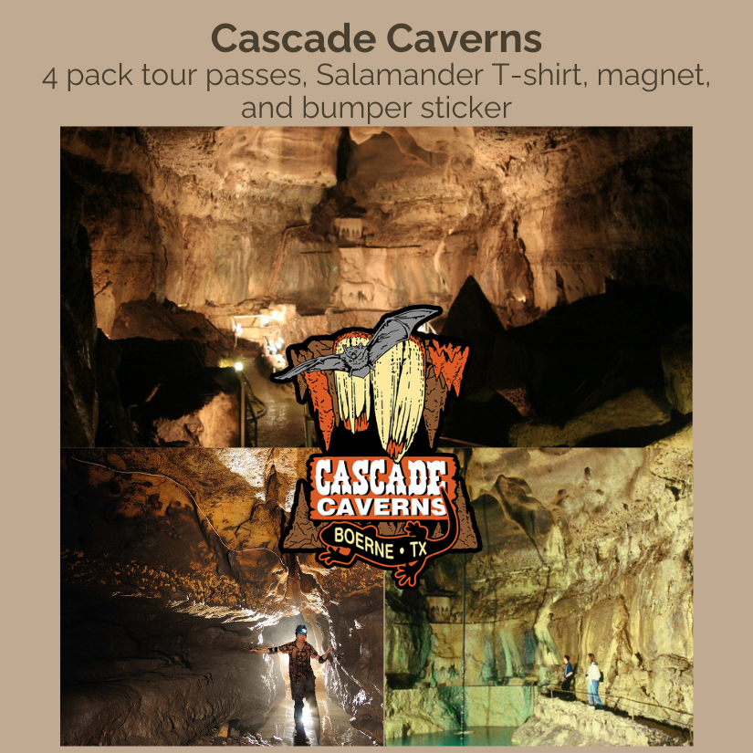 Cascade caverns auction image