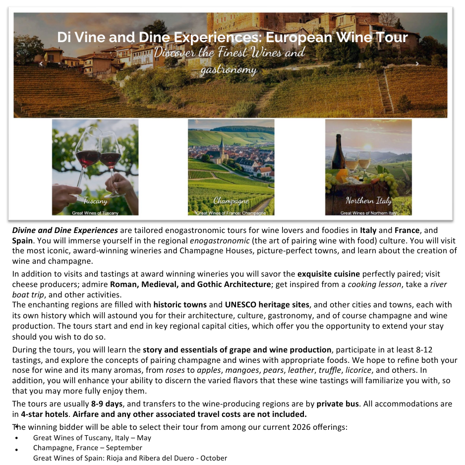 European wine tour auction image