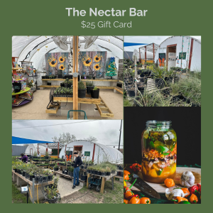 The Nectar Bar auction image
