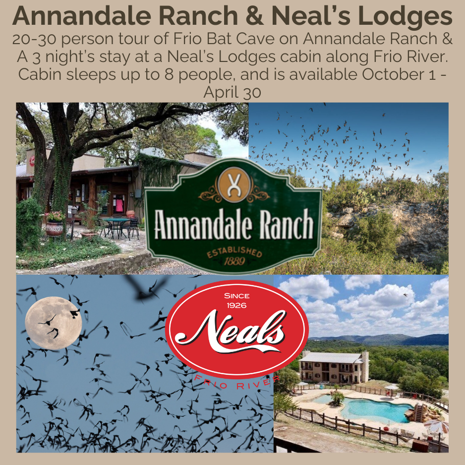 Frio Bat Cave and Neal's Lodge auction image