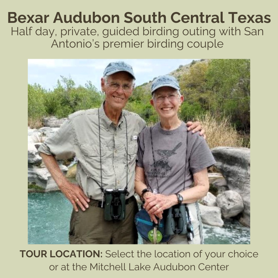 birding tour website graphic