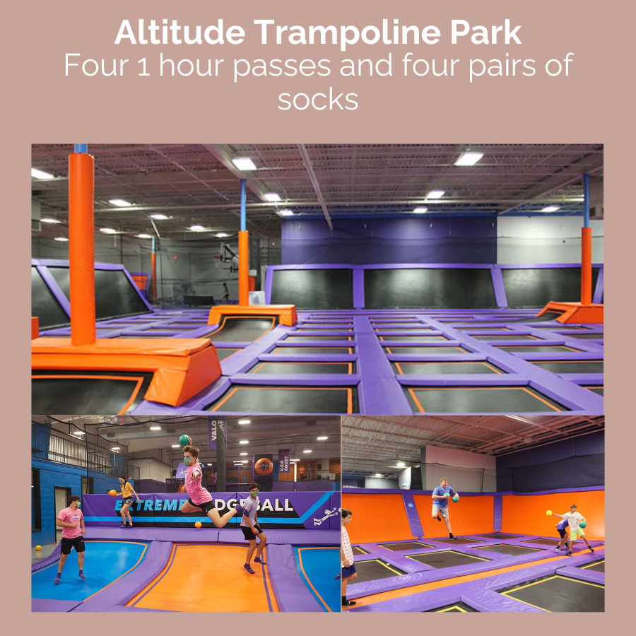 Altitude Trampoline Park auction image